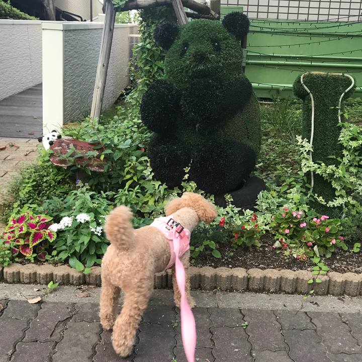 191582be d6ab 4f4f 836e 25c92f52fe02 1563194841879