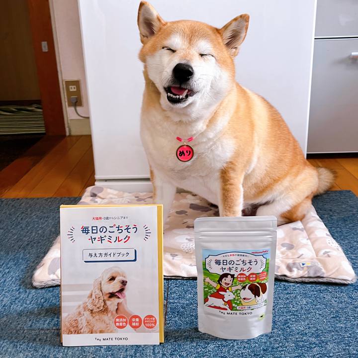 19158420 767b 44fd b76e 6252a9203963 1707533942614