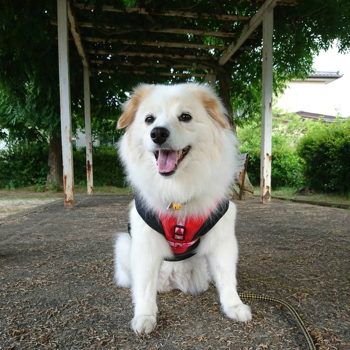 1915b449 d342 4ee4 bd09 4372ea34b443 1527391372969