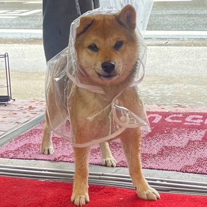 1915cc40 bc74 4238 bb3a f59ba6bf516c 1746185073969