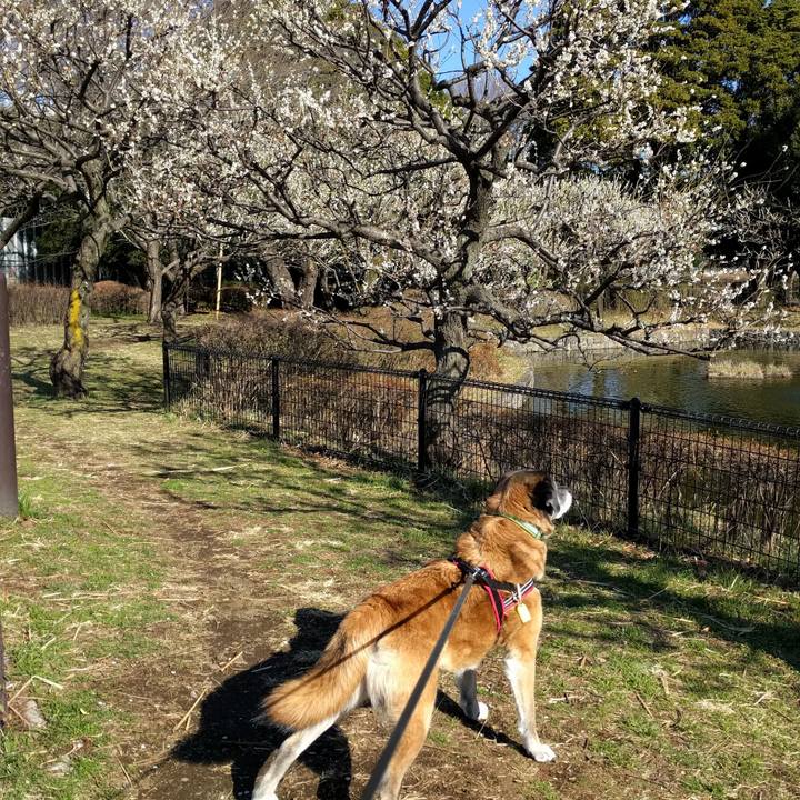 1915cfb4 2b73 4139 a9c5 d1ce3a1fb59a 1520813964956