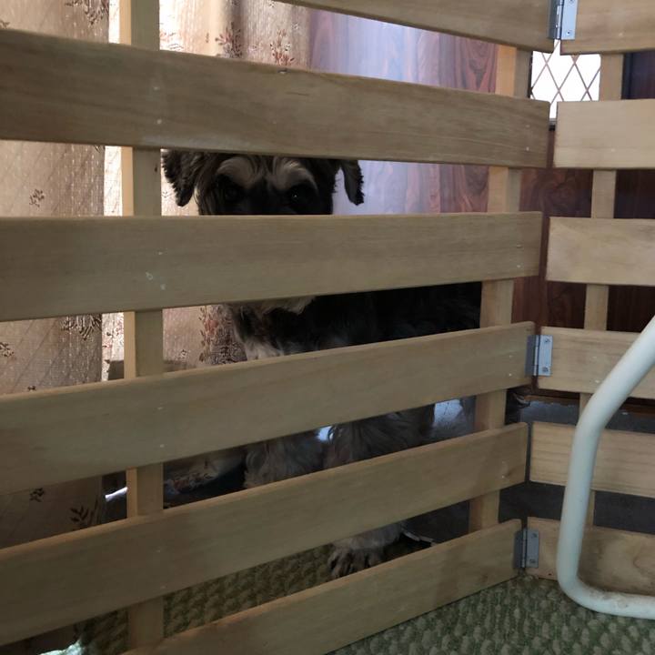 1915e9d0 650a 497e b85a 0056ccf5138b 1663220931560