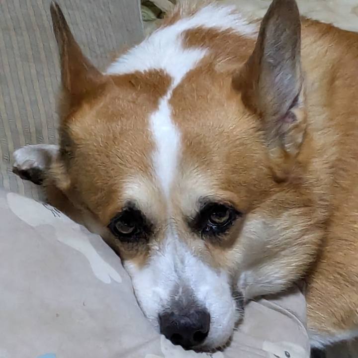 191618d9 a530 42ba a05b 8098ed77e097 1750595943766