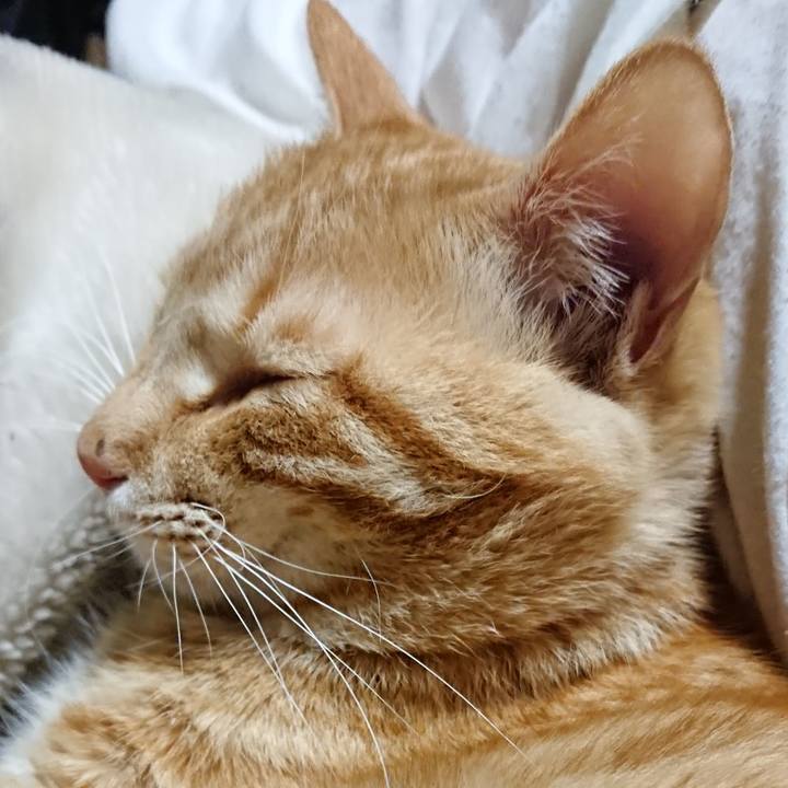 191623da fa25 4a87 b786 0cabf84adcd5 1648644977612