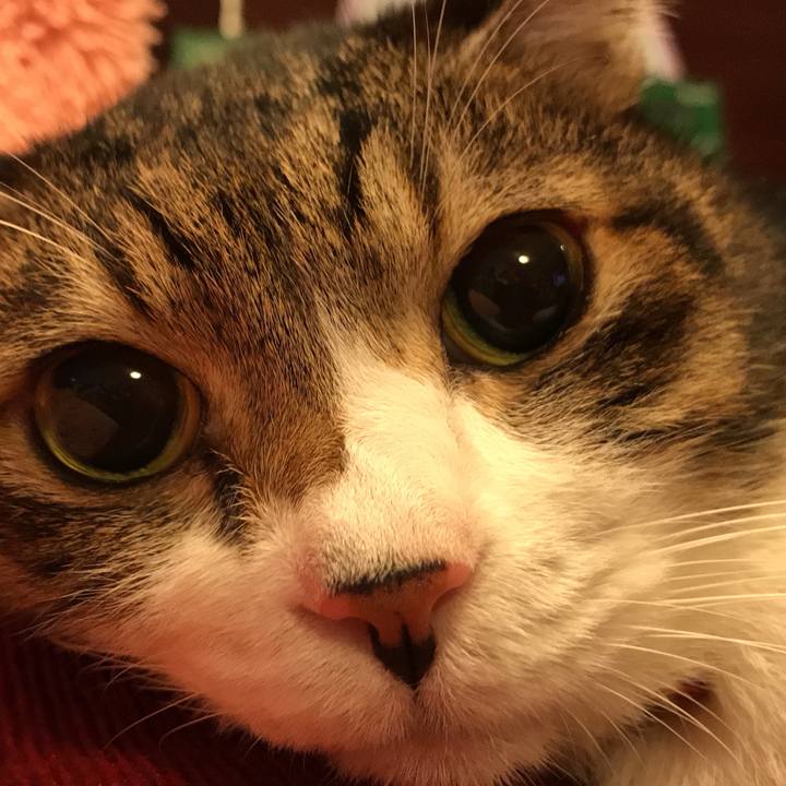 191642d0 642a 4820 8529 d0e4c29912b5 1511282998951