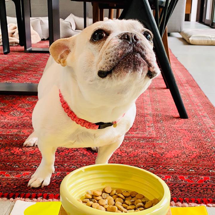 19164ea6 1df7 4358 a55b e83d47379f67 1589956973043