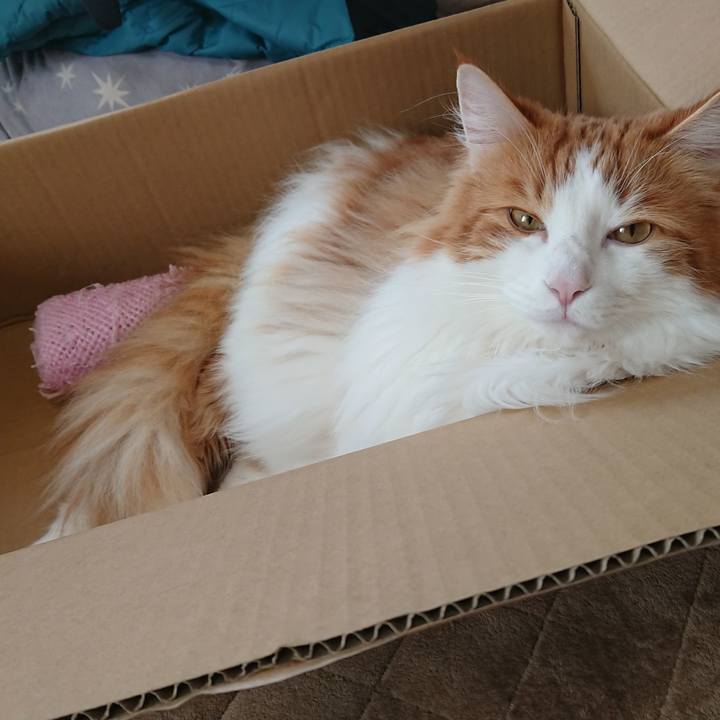 1916671c a7a2 4643 8a85 a460b7cd8dfe 1550810520595