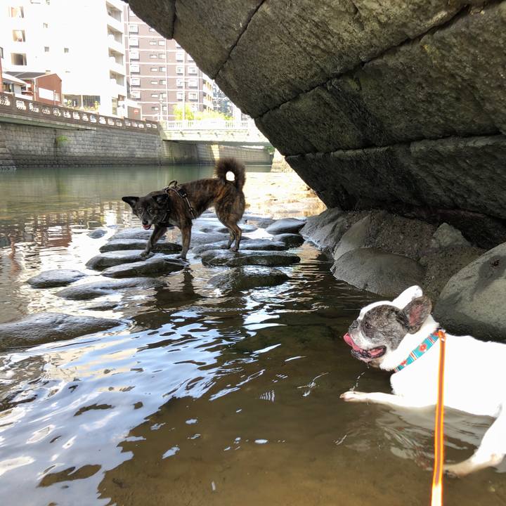 19168c22 5340 4561 b575 e33c23fd1f13 1628809747328