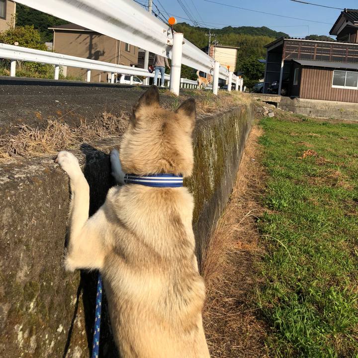 19169c56 4743 407b 8a9d 55fa2473ae89 1558794093264