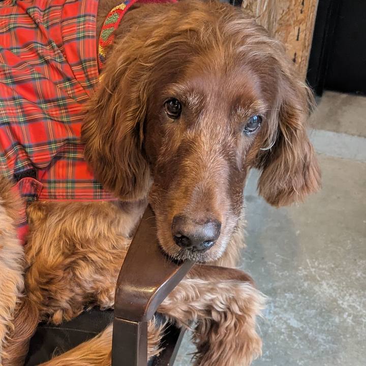 1916c52a 4e33 4294 b4c3 9267f8fee004 1760626878390