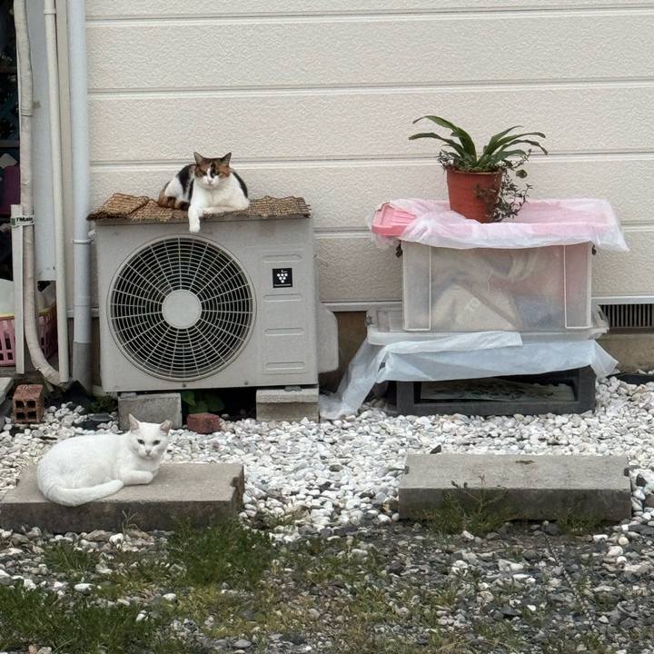 1916dab9 2043 4b47 bf8e 92ae437c4355 1755306510948