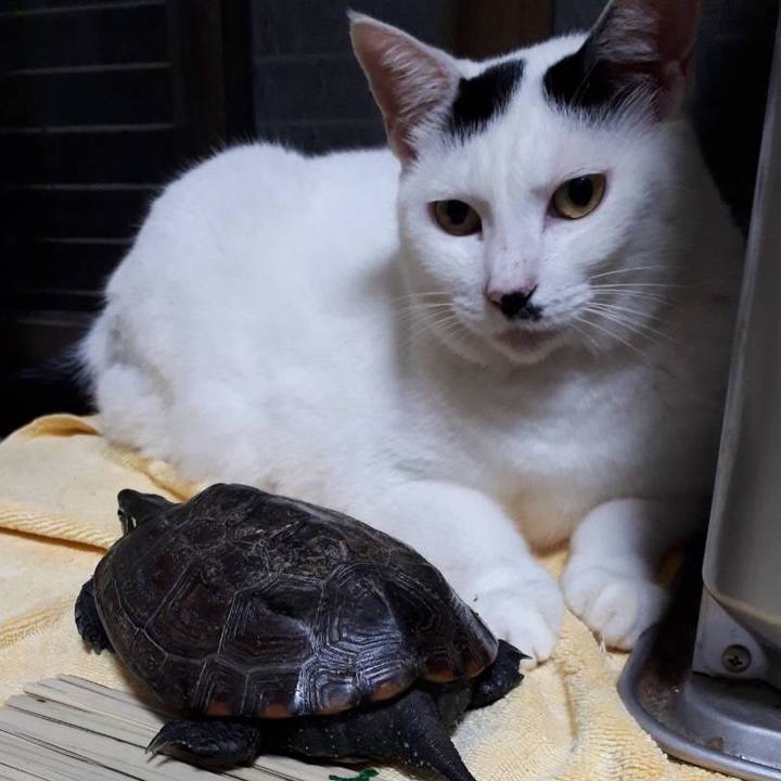 1916fb66 bb13 4d86 8731 05c2e7741c5f 1566828768699