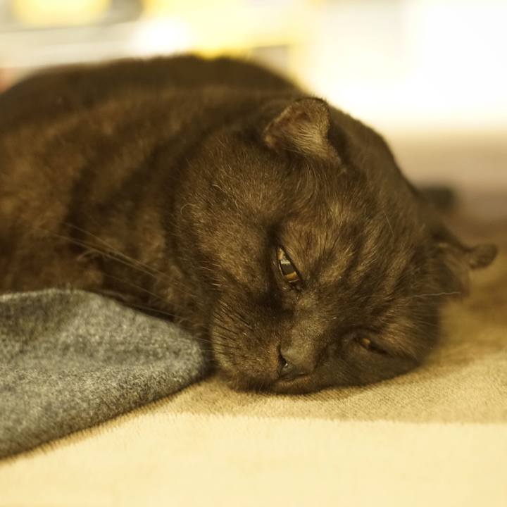 191739fd b4e7 40bc 944b 3cb00ad74d04 1606581378405