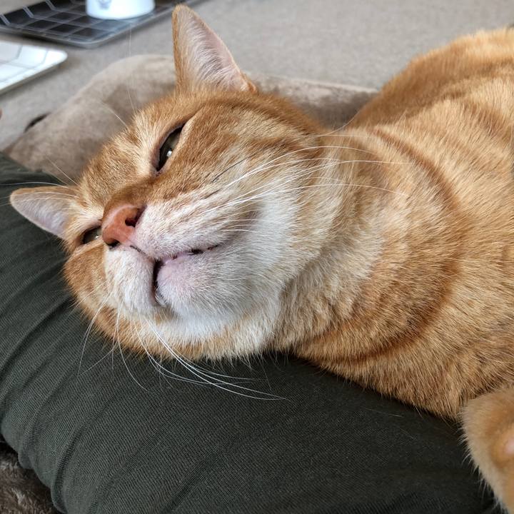 19178fea 0f50 473c 84a3 fe7aa3beb9ac 1674357872040