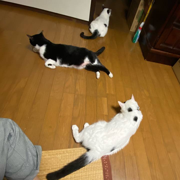 1917a499 3b5e 4c11 b07d dda41639b95c 1656399940973