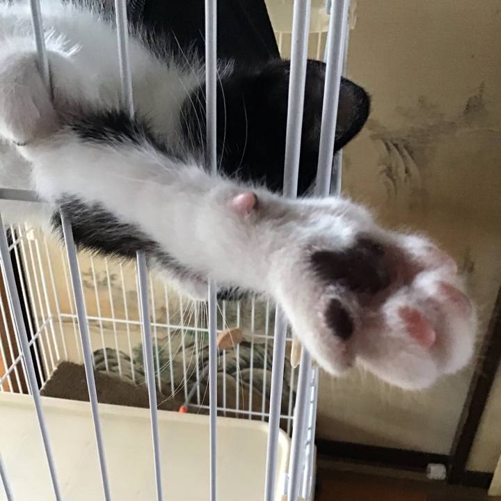 1917a4d0 590f 4a11 ac1c 5bc3655a8466 1625725913514