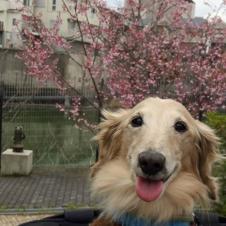 1917a575 f88c 4702 b43a ee2a1e59cc80 1553174294739