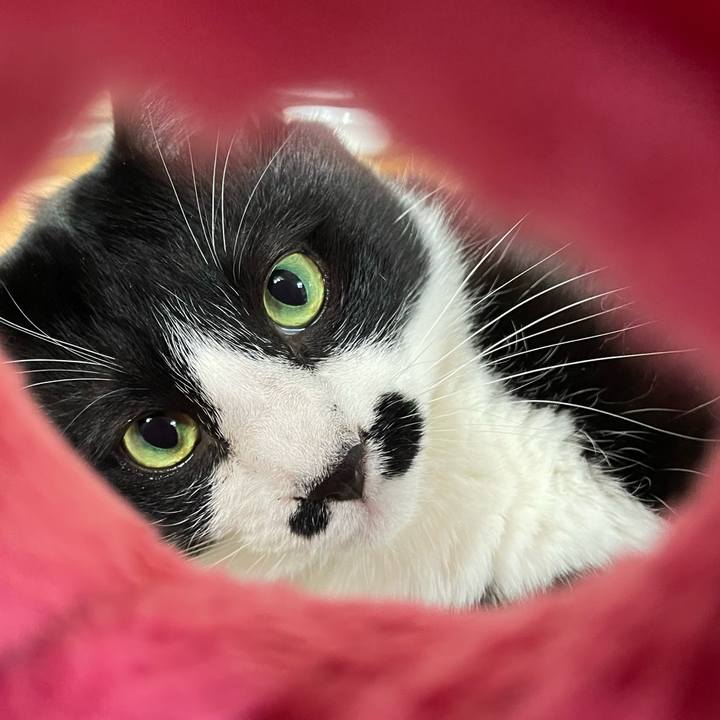 1917a828 7c26 4867 9375 611abc67c826 1685947125413