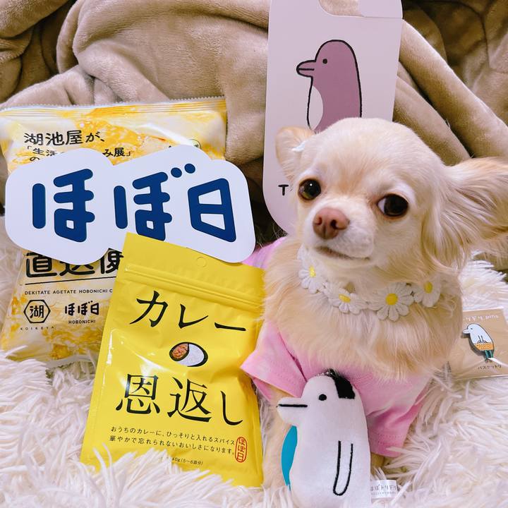 1917bb88 bdff 4bc2 ab8d 0371bc28f002 1651397054832