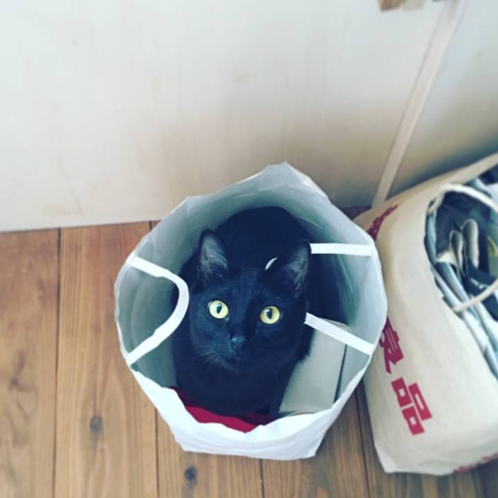 191850c7 42e1 411c 860b 0ac8dbeb055d 1528940098483