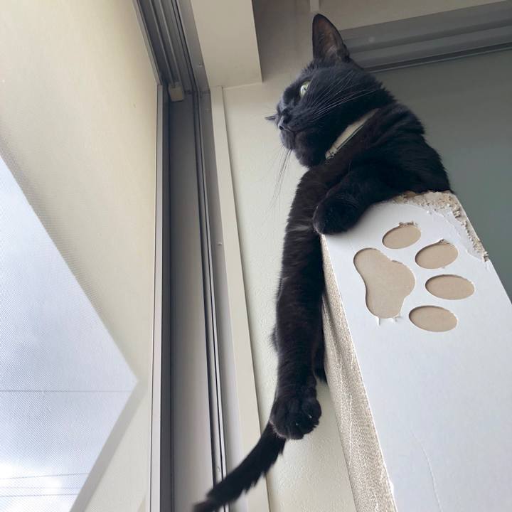 19185726 51a5 456c b9f0 4f129234e483 1590376226882