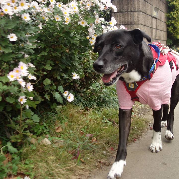 19186f1e 9735 46ae 9c62 5002353c0bc1 1670029692440