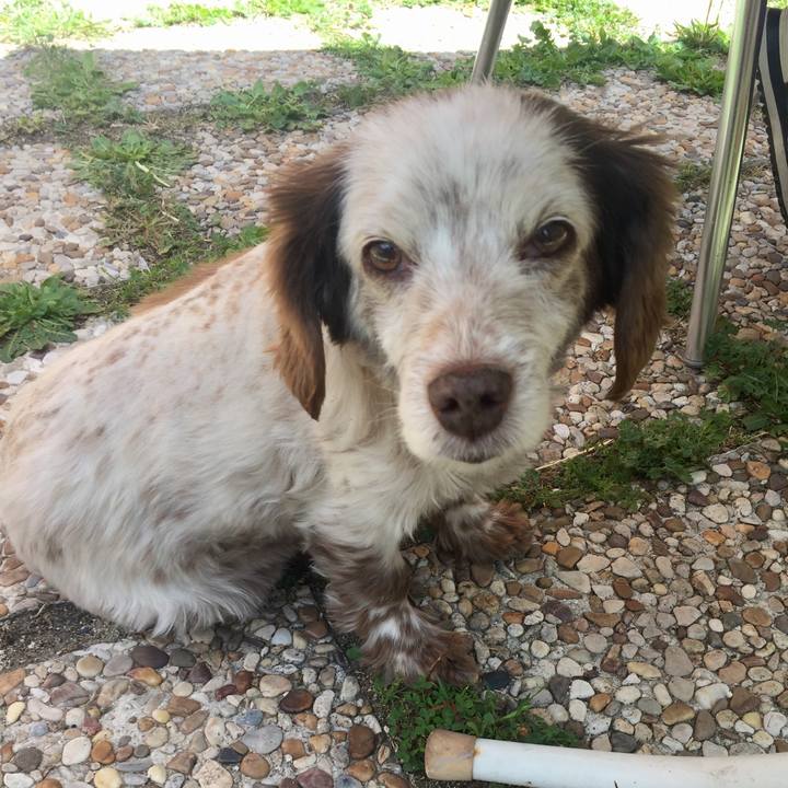 1918857e 46df 437f 85be 6a5af6d8c332 1525176065912