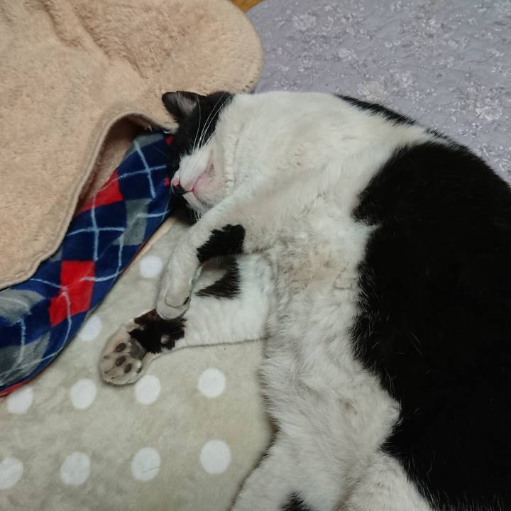 1918a3f6 e538 49d4 b47d 2c0d210497ed 1554547561630