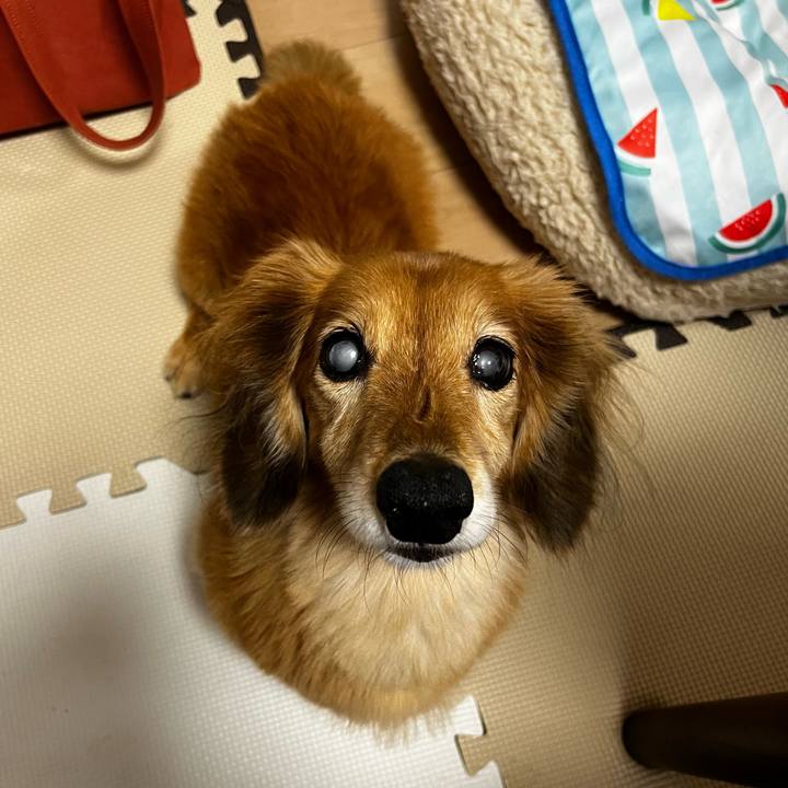 1918b217 43bc 43d5 bd87 02f0cd55d55d 1663068248944