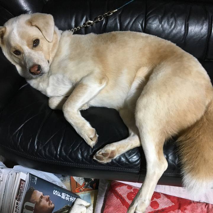 1918d41c bdd4 45c4 8595 c3df69c43250 1508856608834