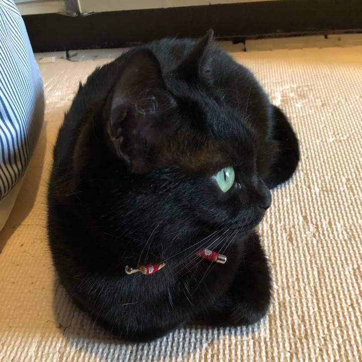 1918f5ab 290f 4c37 a088 cdd0b212e6cb 1629326714024