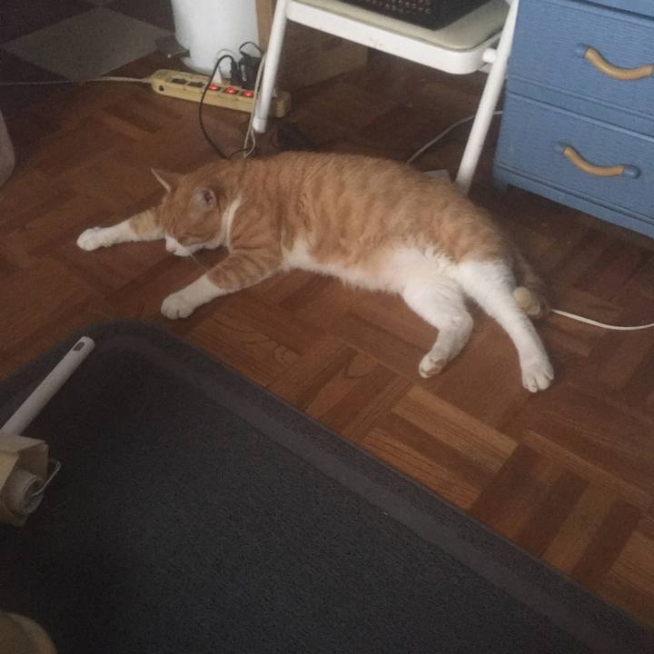 1919364e 6523 43b8 a0b6 725292f2757f 1537143052720