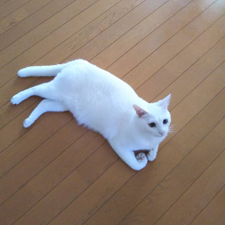 191940b2 15ca 4014 87ce 73c12fbcc617 1531620546129