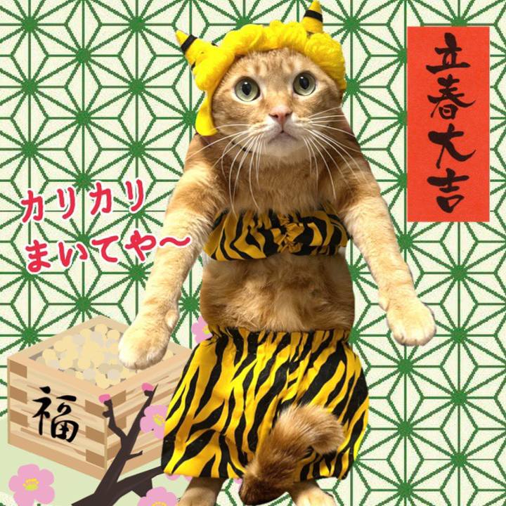 19195296 9917 496f b0c1 a9f36579aa30 1643839878561