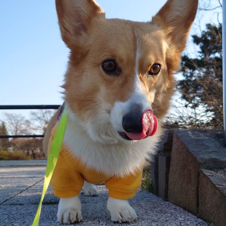 19196968 72ce 4610 a59c d83e1f7706b8 1775001047919