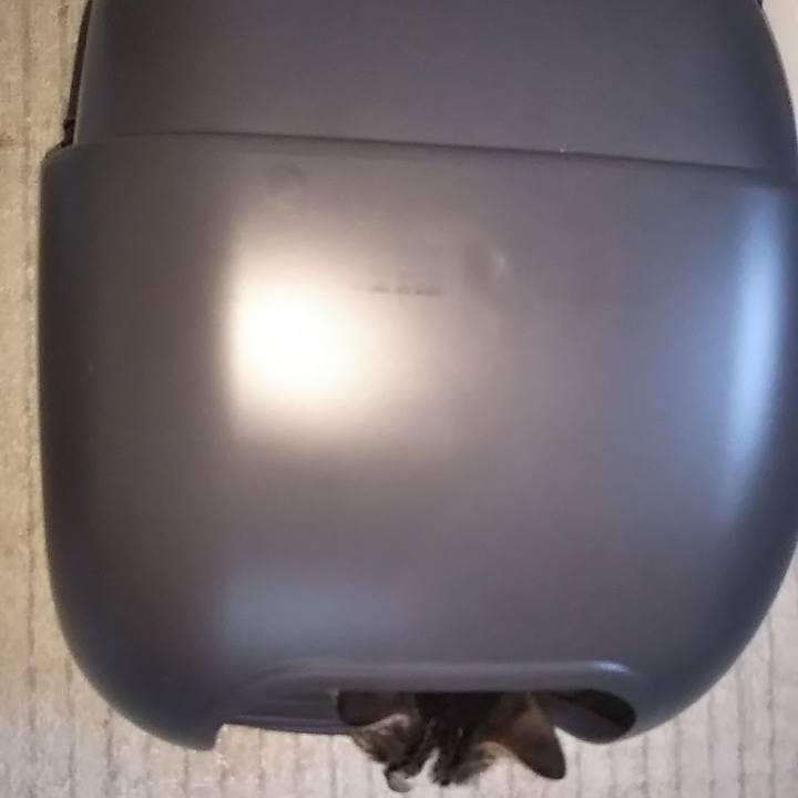 1919956f 285f 43c9 8eb7 25ceb8c4df53 1624441888081