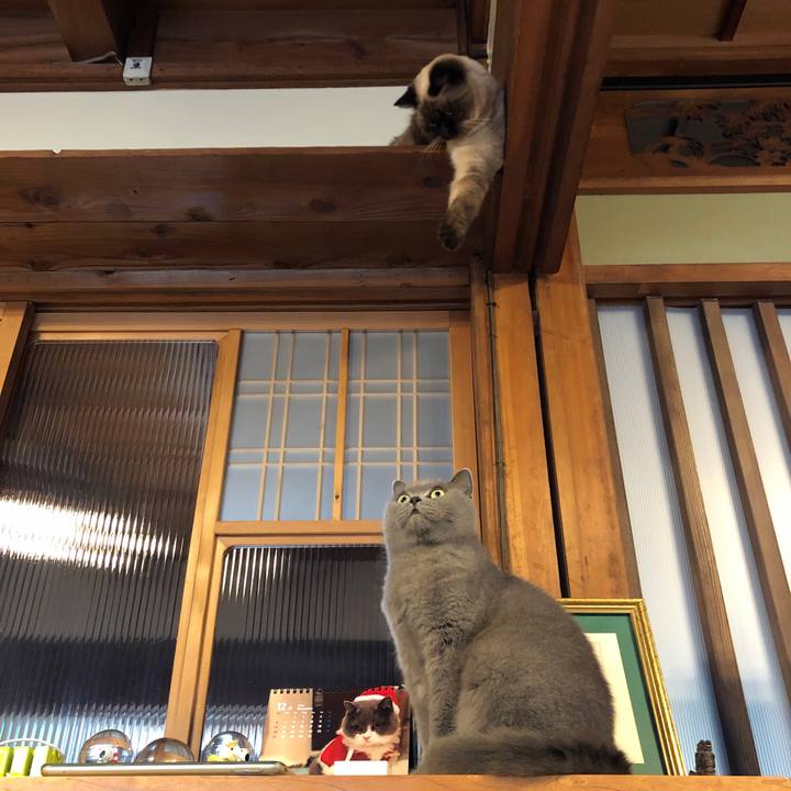 191a1287 26e4 44c4 a80a 0fdc84a02996 1608333813818