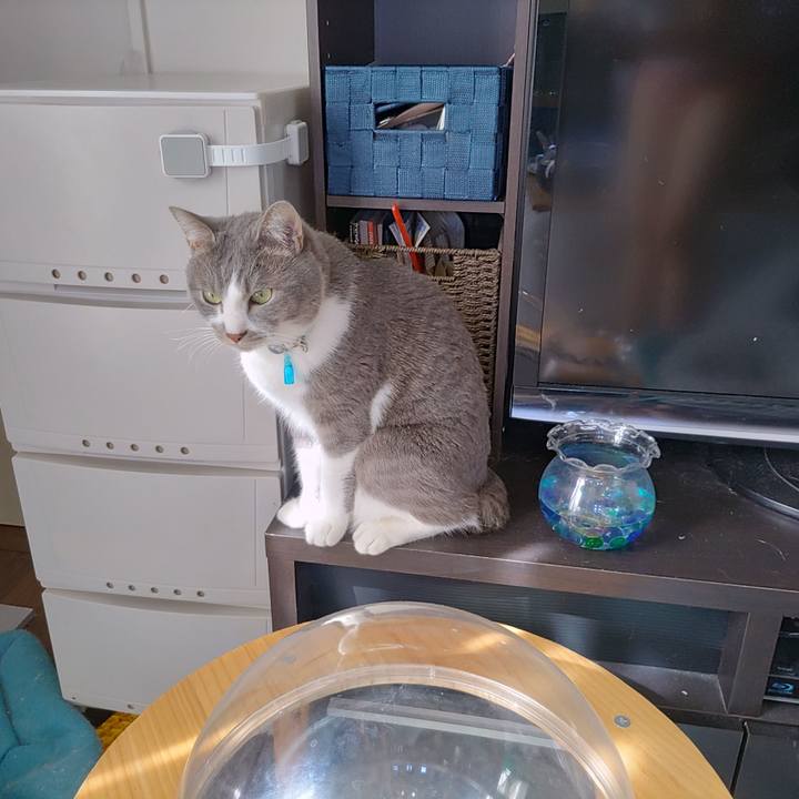 191a2f70 3e61 4685 b9fb eef8e164ceac 1677378967814