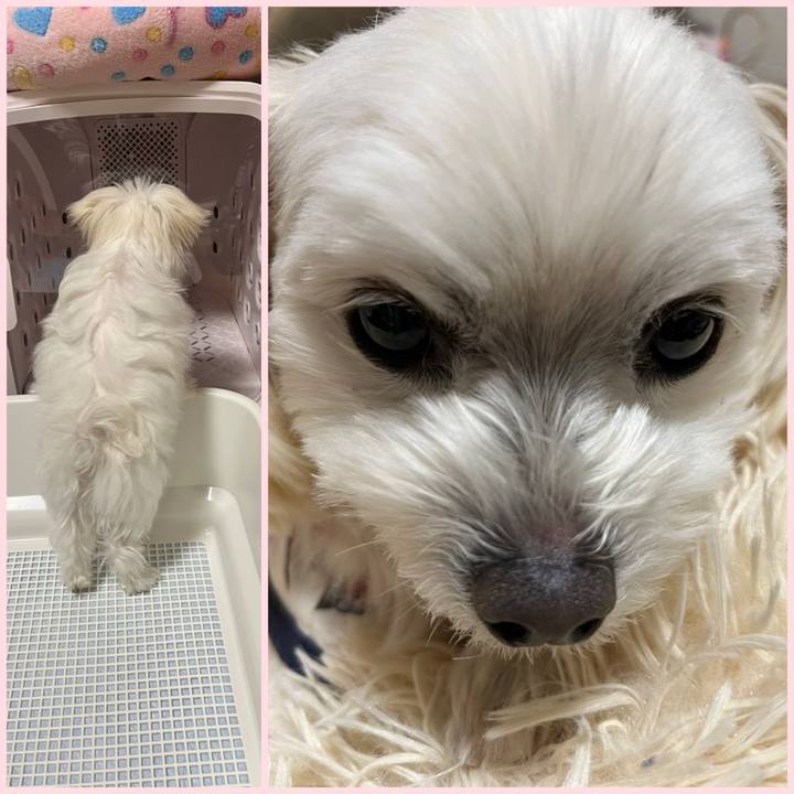 191a73b2 7fe8 4f37 a618 1f04bba1d053 1705751093862