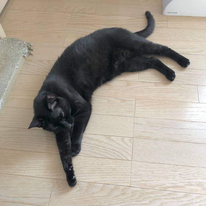 191aba6e d0bb 4ca6 824e 318003c01819 1622335581779