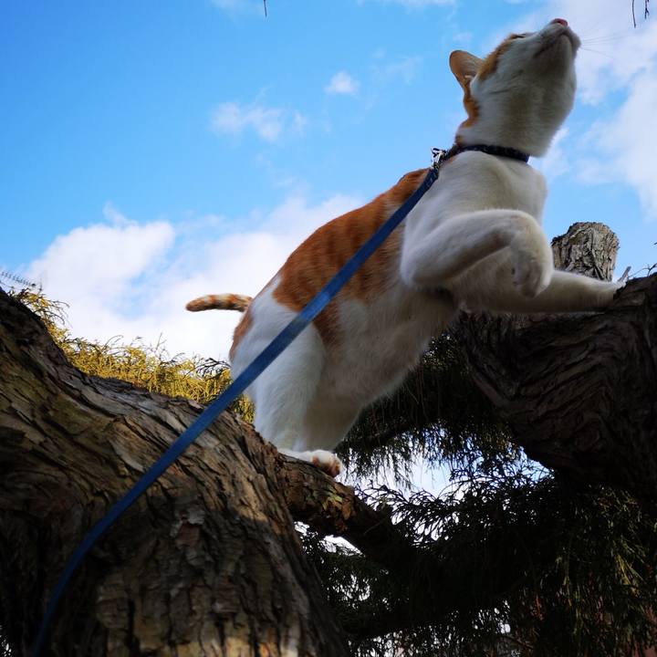 191ade6d 3221 4133 99bb 8ae8aa6af2f6 1549167833060