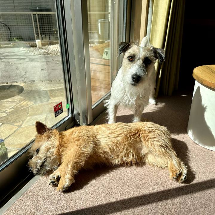 191ae8b6 5e86 4e13 afb1 8b083c30f85d 1709083358260