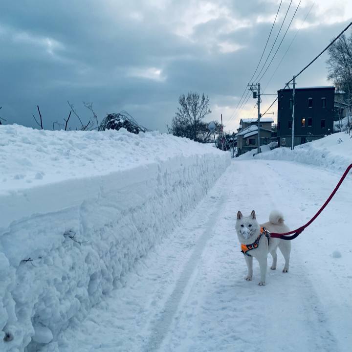 191af0f8 ccb2 4fb1 a7f7 9da816385eb7 1672351859287