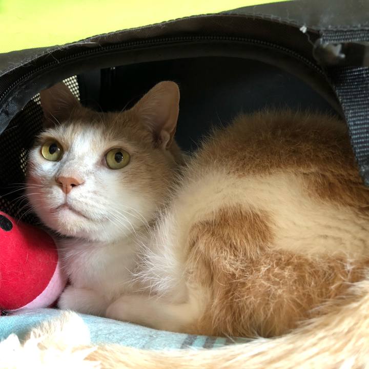 191b44a3 18e4 4cdf 9ba3 d68ee2ea500f 1618112684185