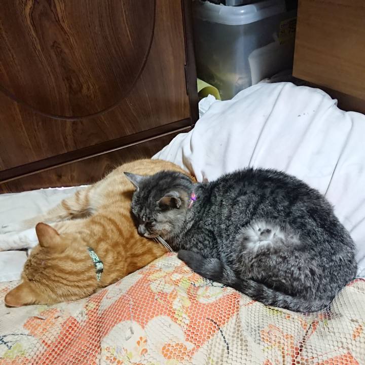 191b46d2 4a83 45bd 9df2 8520ce1d32bc 1584273926842