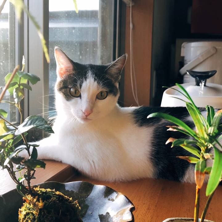 191b5bcf e66d 4cbd bfac 6d35415fa394 1599081885280