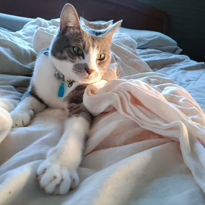 191b725d 129f 4e27 9b6e ee505470e747 1698365722102