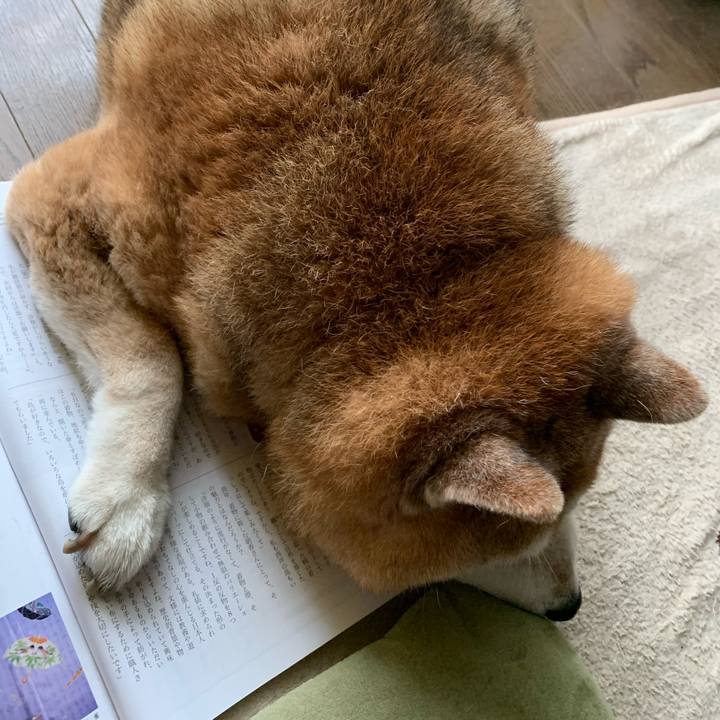 191c1cfa 741c 4cf3 999e bcf8128558f4 1592106632983