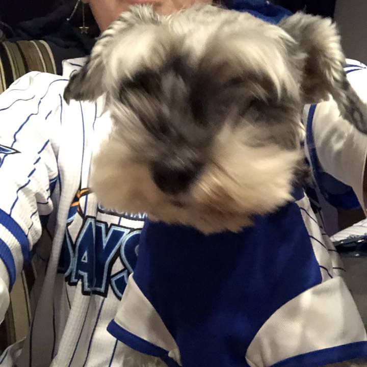 191c4847 b076 4158 8046 394f1d639295 1553860717099