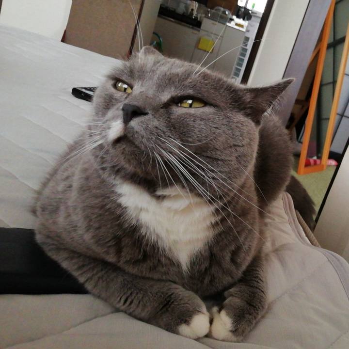 191cb0eb 468c 49e6 a9a5 0c21ce31248f 1628456179958